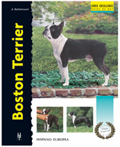 BOSTON TERRIER