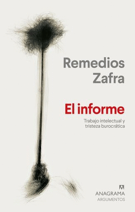 EL INFORME