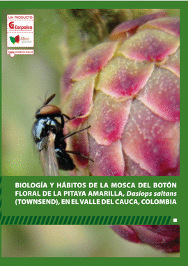 BIOLOGIA Y HABITOS DE LA MOSCA DEL BOTON FLORAL DE LA PITAYA AMARILLA EN EL VALLE DEL CAUCA, COLOMBIA