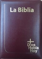 LA BIBLIA DIOS HABLA HOY VINOTINTO CANTO AMARILLO