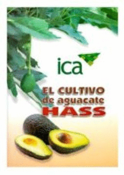 EL CULTIVO DE AGUACATE HASSS